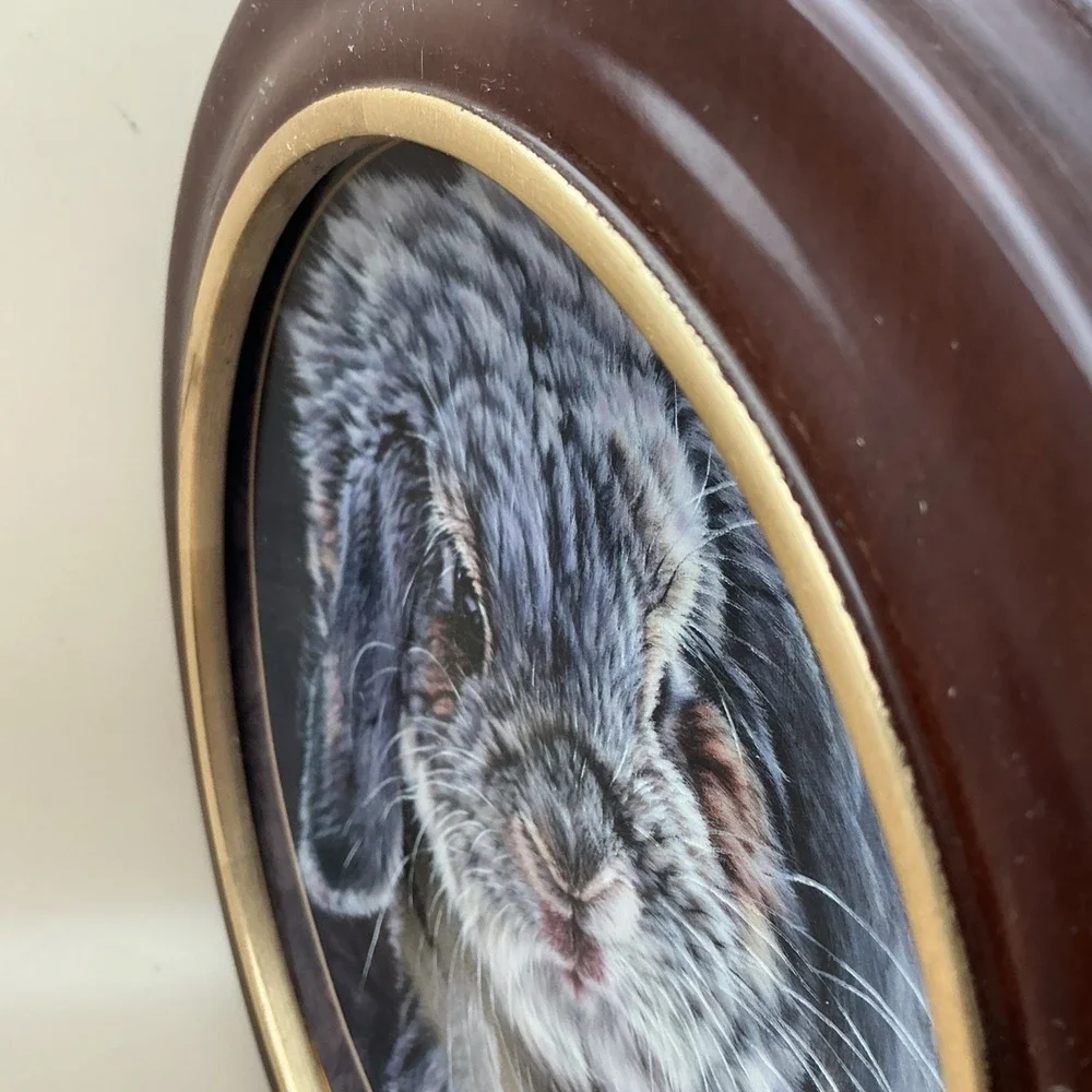 1998 Bradford‎ Exchange Vivi Crandall Bunny Tales FRAMED Plate 